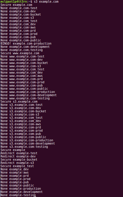 Results of testing for a bucket named “example.com”